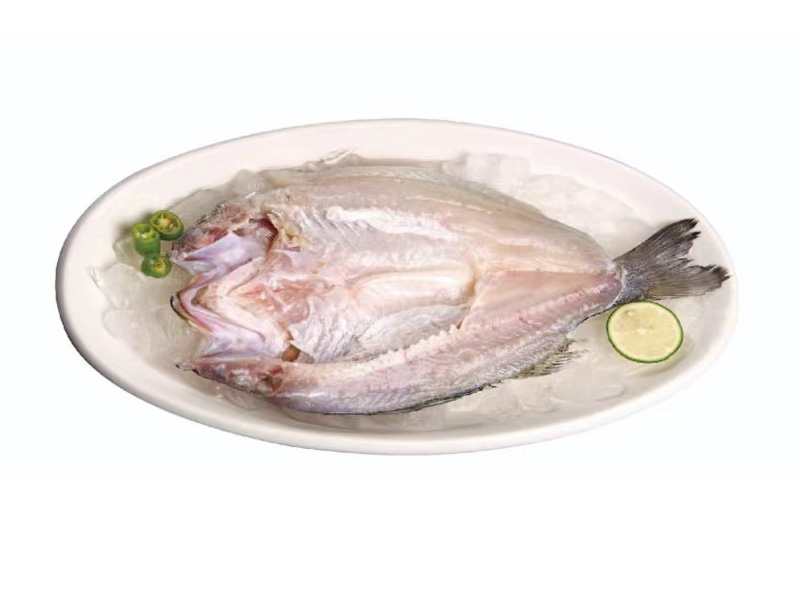 海鲈鱼